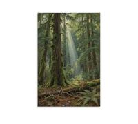 JZHJNHRR Olympic National Park Scenic Coastal Rainforest Artistic Wall Mural Modern Hanging Decor Poster08x12inch(20x30cm)