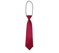 JZK Wine Red Pre-Tied Kids Tie for Boys Height Under 130cm 2-8 Years Old Little Children Elastic Necktie for Wedding Birthday Evening Party Graduation Christmas, Burgundy