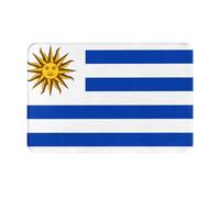 JZMTY 16 * 24 Inches Anti-Slip Doormat for Indoor and Outdoor Use Exquisite Flag of Uruguay Print Fashionable Comfortable