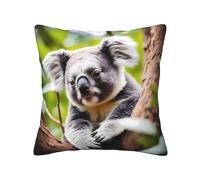 JZQZH 16 in X 16 in Pillowcase Double-Sided Happy Cute Koala Print Throw Pillow Cover Soft Skin-Friendly Fabric for Sofa Bedroom