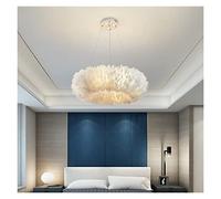 JZWCHQ Chaner, Nordic Feather Pendant Lamp Romantic Fairy Ceiling Hanging Light for Living Room Children's Bedroom Led Chaner Ring(Warm light-220V,D60cm) (Cool White220v D60cm)
