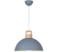 JZWCHQ Dining Room Chaner - Led Pendant Light Fixtures Industrial Style - Lampshade Chaners Single Head Dining Room Chaner (Green 15.7in)