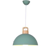 JZWCHQ Dining Room Chaner - Led Pendant Light Fixtures Industrial Style - Lampshade Chaners Single Head Dining Room Chaner (11.8in)