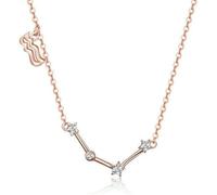 JZWCHQ necklace ConstellatioNecklace, Sterling Silver Star Cubic Zirconia Pendant Exquisite Horoscope Necklaces Astrology For WomeGirls jewelry