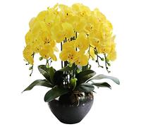 JZWCHQ Orchid Artificial Flowers Large Faux Orchids Bedroom Living Room Set Orchids Artificial Large Planter Romantic Artificial Flowers Plant Arrangement Natural Look