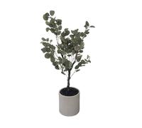 K by Kelly Hoppen Faux Eucalyptus Indoor Outdoor Tree in Pot LARGE