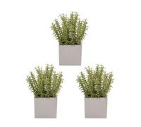 K By Kelly Hoppen Set of 3 Faux Plants