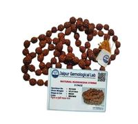 K.E Original Certified 108 Beads Rudraksha Natural Seed Prayer Beads Rudraksha 108 Mala Powerful Rudraksha Mala for Positive Vibes, Meditation, Mantra Japa Mala, Shiv Blessings.Purity certificate.