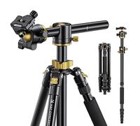 K&F Concept 67 inch Camera Tripod Horizontal Aluminum Tripods Portable Monopod with 32mm Ball Head 12KG Load Capacity Quick Release Plate, for Travel and Work T255A4+BH-32L(Golden)