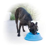 K&H PET PRODUCTS Cooling Bowl Pet Bed Liner, 32 oz, Sky Blue