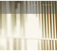 K.Leimer - Degraded Certainties