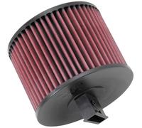 K&N Filters E-2022 Air Filter Fits 05-08 323i 325i 330Ci 330i 330xi