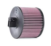 K&N Replacement air filter compatible with BMW 3-Series E90 325i/330i 2005- (excl. USA) (E-2022), Heather Red