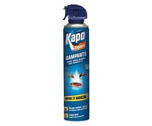 K.PRO - Aerosol Spray for Crawling Insects - Immediately Eliminates Cockroaches, Ants, Spiders, Fleas, Bed Bugs - Long-Lasting Effect - Ergonomic - Professional Technique - 400 ml
