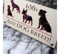 K Smart Sign | 280mm x 140mm | Personalised Dog Luxe property house Dogs wall number address Any-Dog personalised plaque numbers signs fully personalised choose your own (Beige & Rose Gold Mirror)