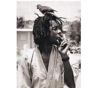 k1 Peter Tosh, Kingston, 1970s - Miniature Poster & Card Frame
