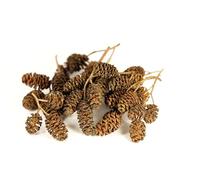 K2AQUA 20 Grams Alder Cones for Aquariums Water Treatment Natural Botanicals for Shrimp and Fish Tanks Blackwater Freshwater Tank Shrimp Safe Tannin pH Regulator