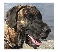 K9 Bridle - to stop your dog pulling (Large, Beige)