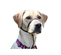 K9 Bridle - to stop your dog pulling (Medium, Black)