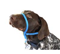 K9 Bridle - to stop your dog pulling (Medium, Blue)