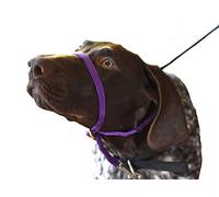 K9 Bridle - to stop your dog pulling (Medium, Purple)