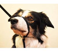 K9 Bridle - to stop your dog pulling (Small, Black)