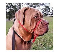 K9 Bridle - to stop your dog pulling (XL, Black)