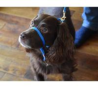 K9 Bridle - to stop your dog pulling (XS, Blue)