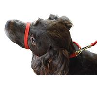K9 Bridle - to stop your dog pulling (XS, Red)