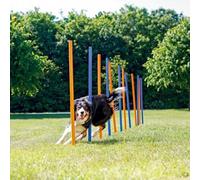 K9 Pursuits Pet Dog Agility Slalom Weave Poles Training Obstacle Course 12 Poles