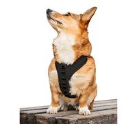 K9 Sport Dog Harness, Black - M