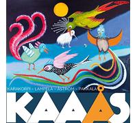 Kaaas Trio - KAAÅS: Chamber Music by Harri Wessman