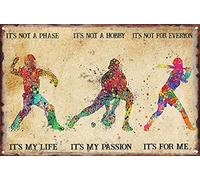 KAARIRI Baseball It'S Not A Phase It'S My Life It'S Not A Hobby It'S My Passion Vintage Retro Metal Tin Sign Plaque Poster Wall Decor Art Shabby Chic Gift Mural Iron 12x8 Inch