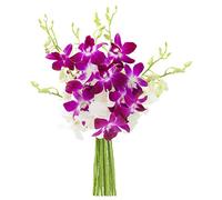 KaBloom Exotic Opal Orchid Bouquet of Purple and White Orchids from Thailand