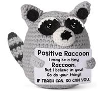 Kabwea 1 Hand-knitted Plush Raccoon, Get Well Gifts, Encouragement Gift, Positive Raccoon