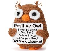 Kabwea Positive Owl With Sign, Encouragement Gifts For All Occasions, Positive Gifts For Your Loved Ones, A Creative Gift