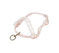 KACCDE Cattle Cow Halters Leading Rope Showing Small Breeds Animals Showing Adjustable Tool for Training Handling Strong Cow Leads Equipment