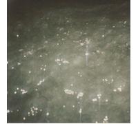 KACZOR, Ben - Sirene - Vinyl (LP limited to 300 copies)