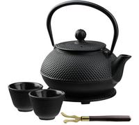 Kadax Cast Iron Teapot With Enamelled Interior 850 Ml, Japanese Tea Kettle With Lid, Two Cups (Black)