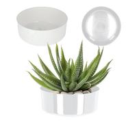 Kadax Flower Bowl, Plastic Plant Bowl In Several Colours, Wide Plant Pot With Glossy Surface (Diameter 23 Cm, White)