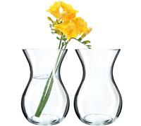 KADAX Glass Vase, 18 cm, 8 cm Diameter, Transparent, Decorative Vase for Living Room