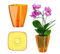 Kadax Orchid Pot, Plastic Flower Pot In Several Colours, Plant Pot In Multiple Sizes, Pot (Diameter 13 Cm, Transparent Orange)