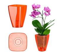 KADAX Orchid Pot, Plastic Flowerpot in Several Colours, Lightweight Plant Pot in Multiple Sizes, Elegant Pot for Living Room, Office and Bedroom (⌀9 cm, Square, Red)