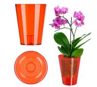 Kadax Orchid Pot, Plastic Flowerpot In Several Colours, Lightweight Plant Pot In Multiple Sizes (Transparent Red, 13 Cm, High)