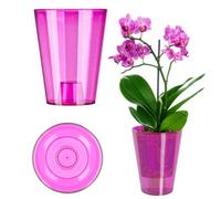 Kadax Orchid Pot, Plastic Flowerpot In Several Colours, Lightweight Plant Pot In Multiple Sizes (Transparent Pink, 13 Cm, High)