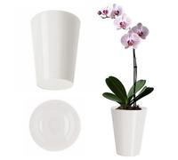 Kadax Orchid Pot, Plastic Flowerpot In Several Colours, Plant Pot In Multiple Sizes, Elegant Pot (Diameter 13Cm, White)