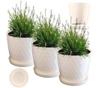 Kadax Plastic Flower Pot, Set Of 3, Durable Plant Pot With Saucer, Decorative Planter (Set Of 3, 20 Cm, Ecru)