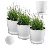 Kadax Plastic Flower Pot, Set Of 3, Durable Plant Pot With Saucer, Decorative Planter (Set Of 3 - 25 Cm, White)