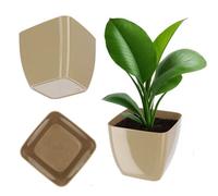 Kadax Square Plant Pot, Elegant Planter, Garden Bowl, Plastic Flowerpot With Glossy Surface For Houseplants (12 Cm, Beige)