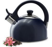 Kadax Stainless Steel Water Kettle, 1.7L Water Kettle, Tea Kettle For All Types Of Cookers, Stainless Steel Water Kettle (Black)